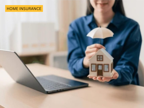 Inscarss (503 x 378 px) (24)