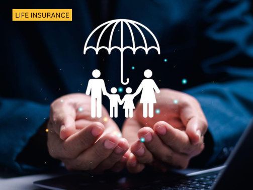 Inscarss (503 x 378 px) (25)