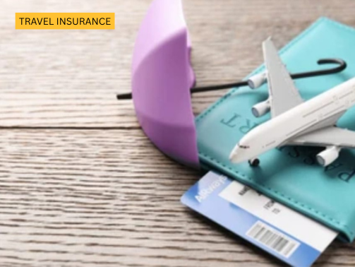 Inscarss (503 x 378 px) (10)