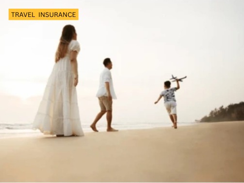 Inscarss (503 x 378 px) (7)