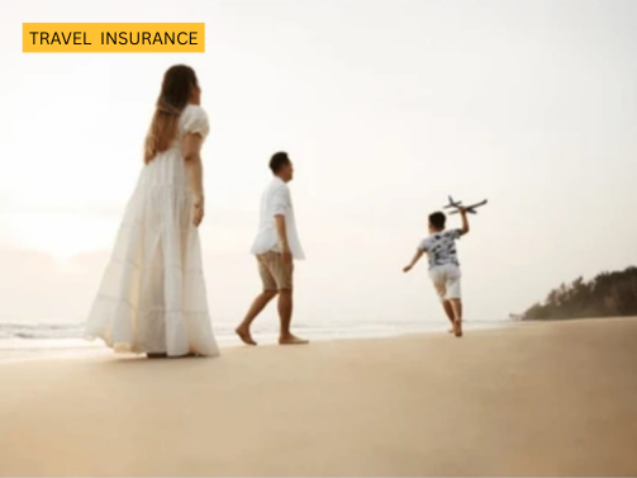 Inscarss (503 x 378 px) (7)